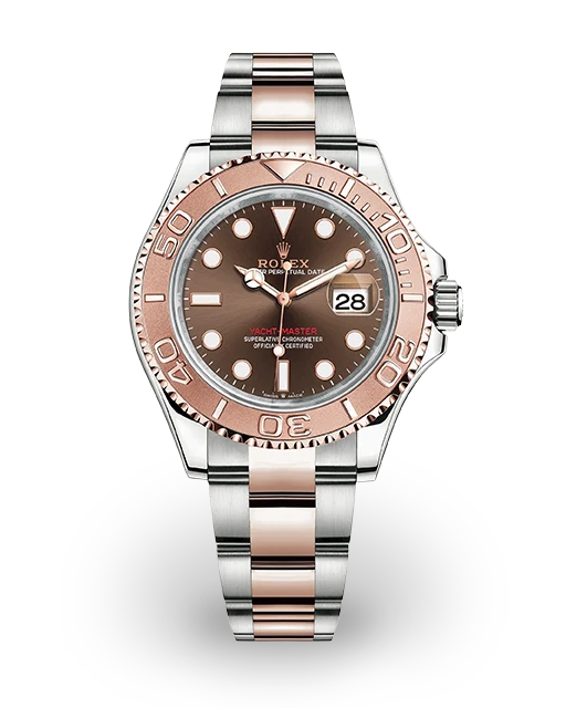 Rolex Yacht-Master 40 Two-Tone / Chocolate 126621-0001  Model Image