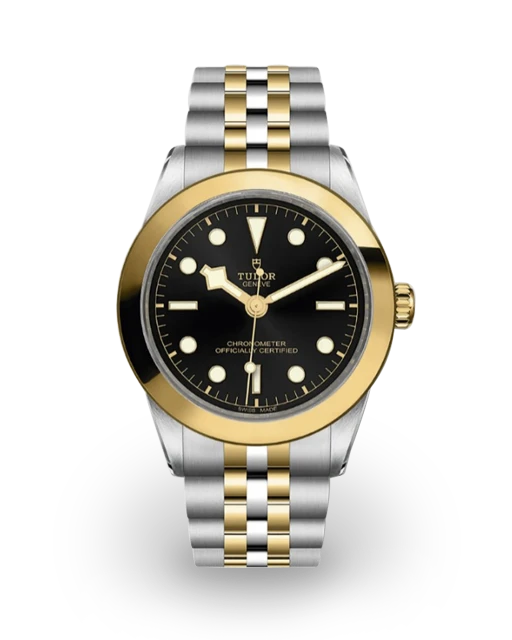 Tudor Black Bay 39 S&G / Smooth / Black / Bracelet M79663-0001  Model Image