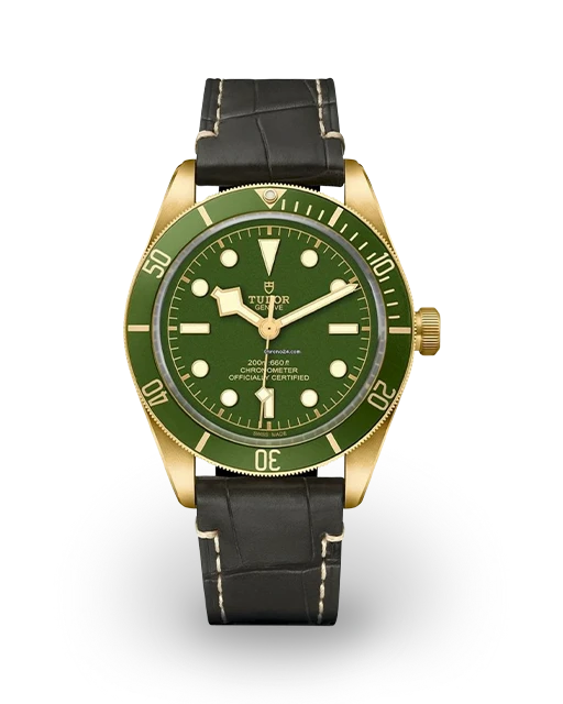 Tudor Black Bay Fifty-Eight Yellow Gold / Strap M79018V-0001  Model Image