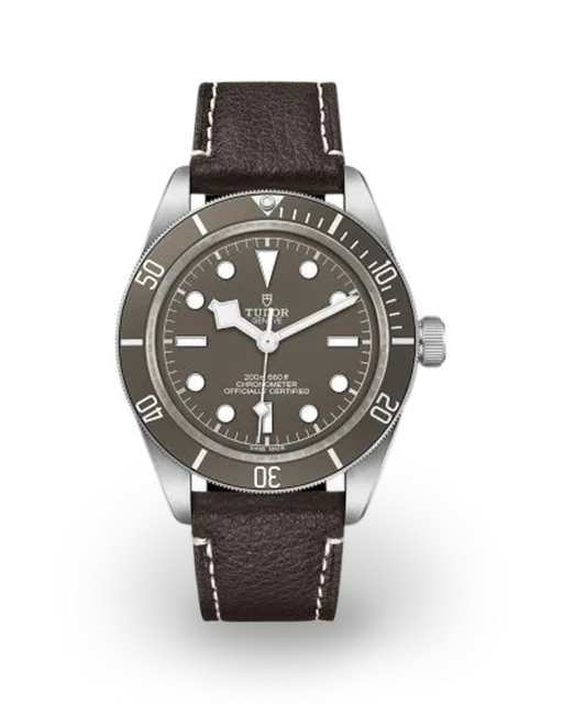 Tudor Black Bay Fifty-Eight 925 / Silver / Strap M79010SG-0001  Model Image