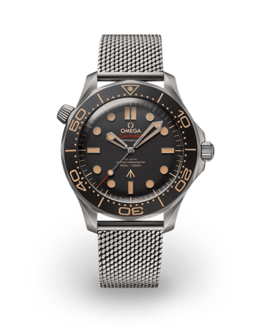 Omega Seamaster Diver 300M Titanium | Authenticated In-House | Bezel