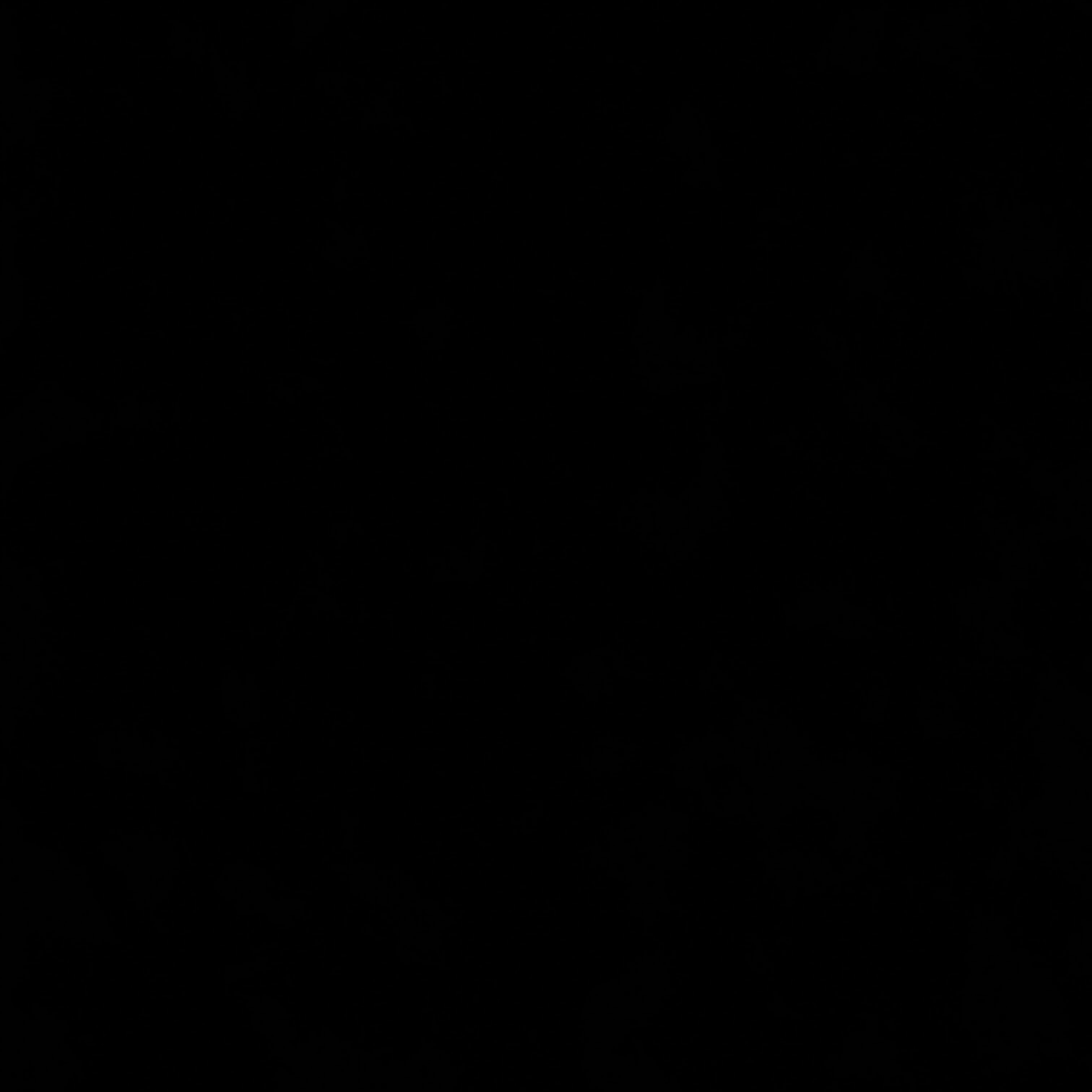 2023 Rolex Datejust 41 Two-Tone "Wimbledon" / Fluted / Jubilee 126331-0016 Listing Image 8