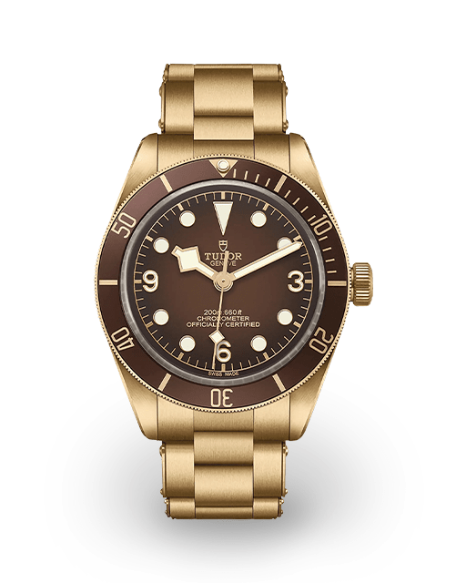 Tudor Black Bay Fifty-Eight Bronze Bracelet M79012M-0001