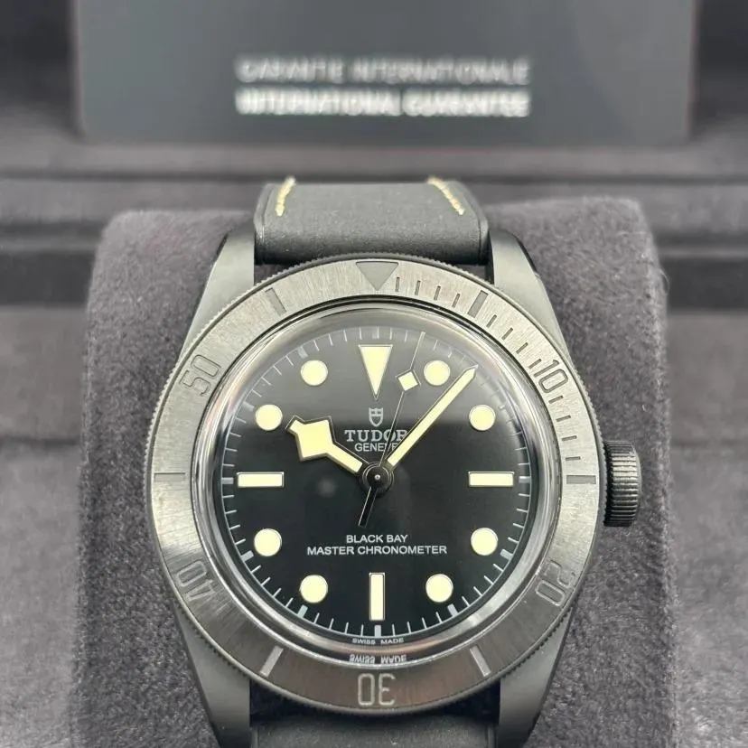 2025 Tudor Black Bay Ceramic / Strap M79210CNU-0001