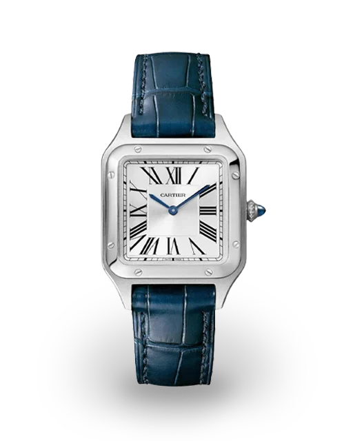 Cartier Santos-Dumont Small Model Steel / Silvered / Strap WSSA0086  Model Image