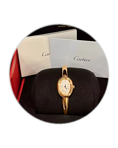 Cartier Montre Baignoire 1920 Mini Yellow Gold / Silvered / Roman / Bracelet WGBA0050  Model Image