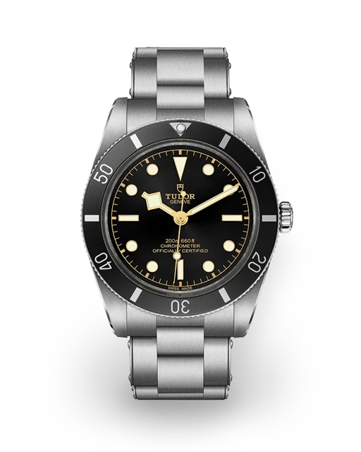 Tudor Black Bay 54 Steel / Bracelet M79000N-0001  Model Image