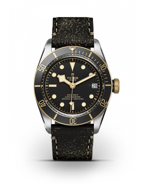 Tudor Men's Black Bay Silver Designer Wrist Watch Luxury main image 1