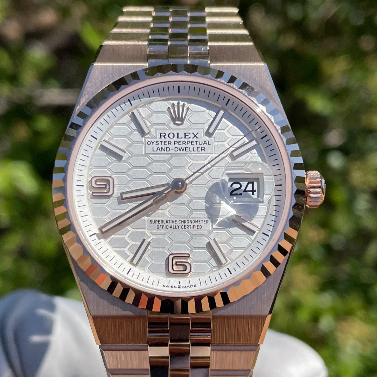 2025 Rolex Land-Dweller 36 Everose Gold / Fluted / White Honeycomb Motif / Arabic / Flat Jubilee 127235-0001