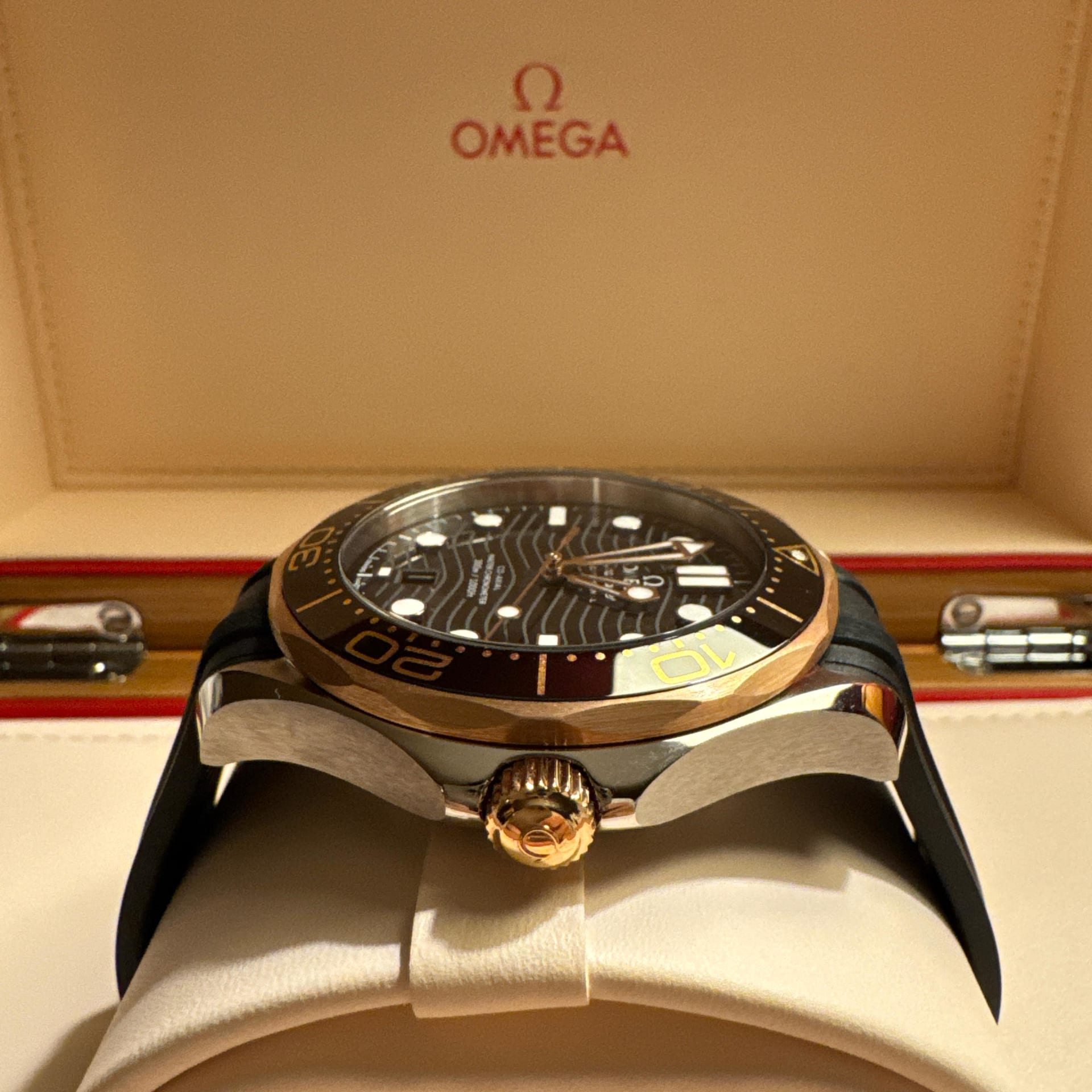 Omega Seamaster Diver 300M Master Co-Axial 42 Stainless Steel